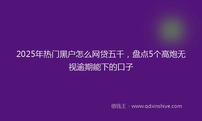 2025年热门黑户怎么网贷五千，盘点5个高炮无视逾期能下的口子