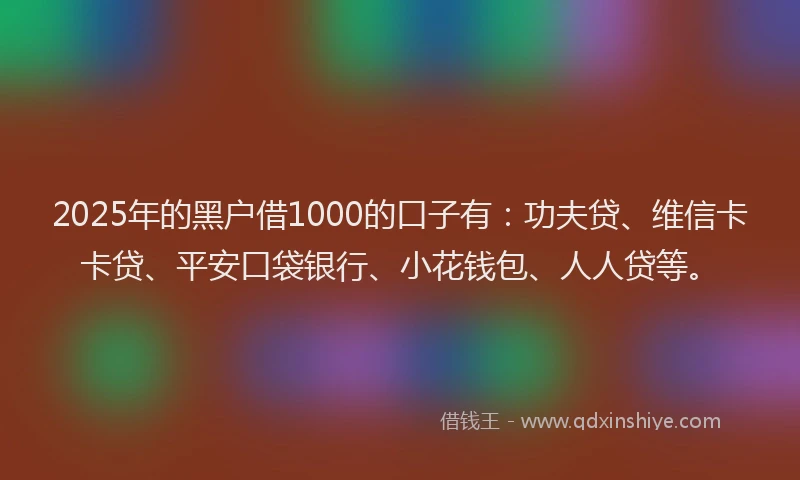 2025年的黑户借1000的口子有：功夫贷、维信卡卡贷、平安口袋银行、小花钱包、人人贷等。