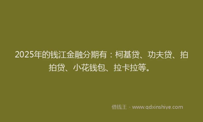2025年的钱江金融分期有：柯基贷、功夫贷、拍拍贷、小花钱包、拉卡拉等。