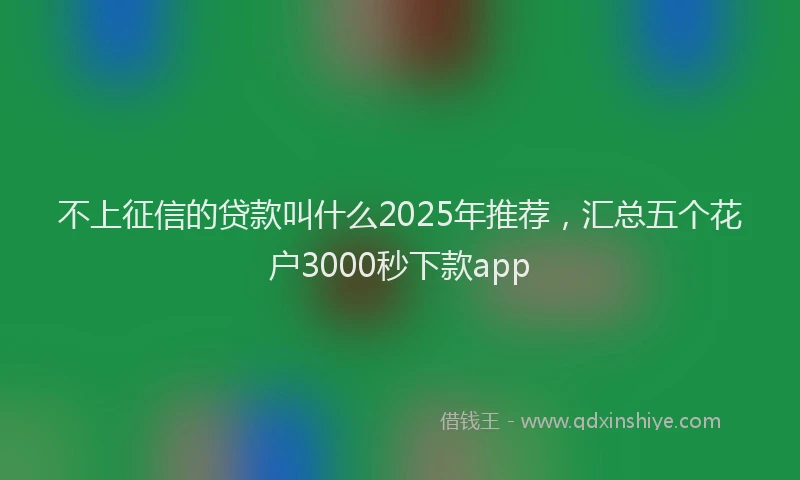 不上征信的贷款叫什么2025年推荐，汇总五个花户3000秒下款app
