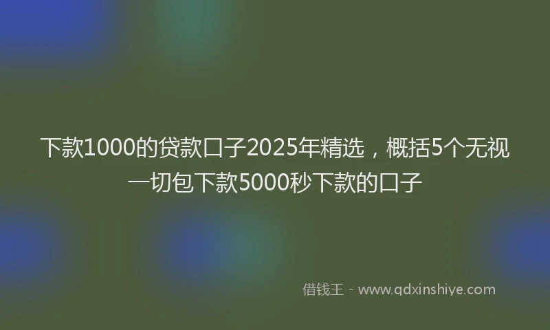下款1000的贷款口子2025年精选，概括5个无视一切包下款5000秒下款的口子