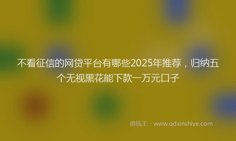 不看征信的网贷平台有哪些2025年推荐，归纳五个无视黑花能下款一万元口子