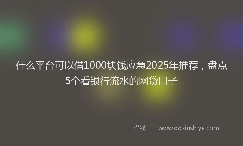 什么平台可以借1000块钱应急2025年推荐，盘点5个看银行流水的网贷口子