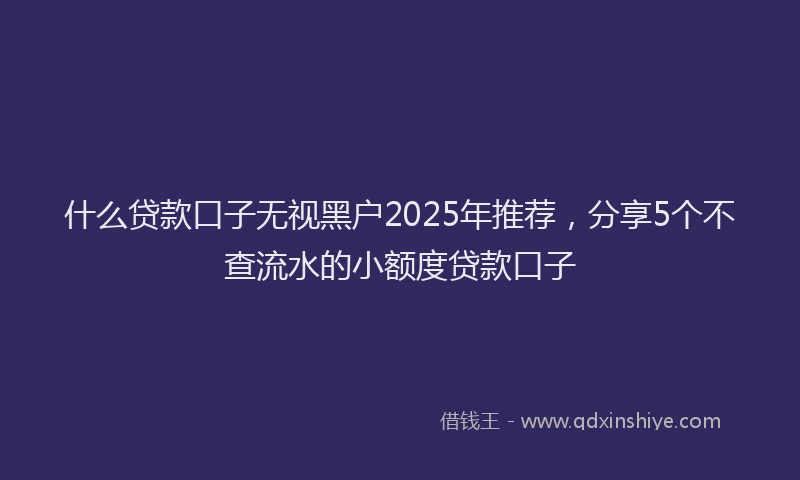 什么贷款口子无视黑户2025年推荐，分享5个不查流水的小额度贷款口子