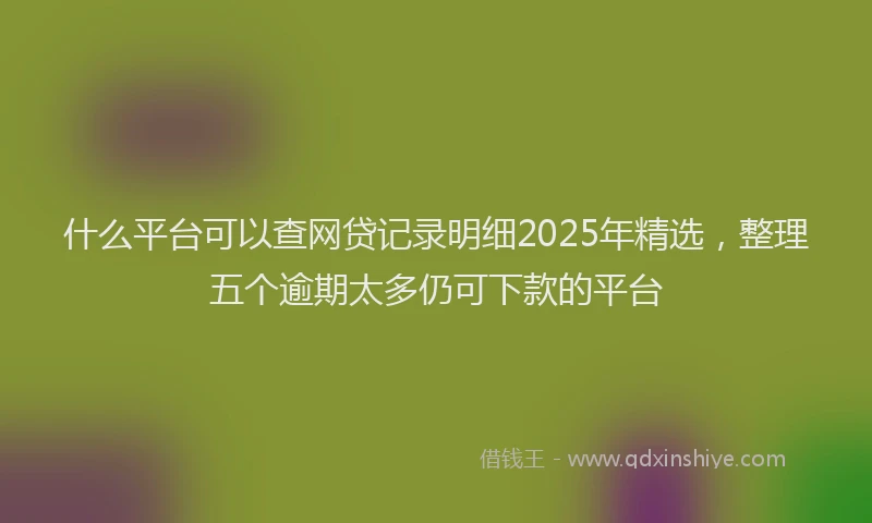什么平台可以查网贷记录明细2025年精选，整理五个逾期太多仍可下款的平台