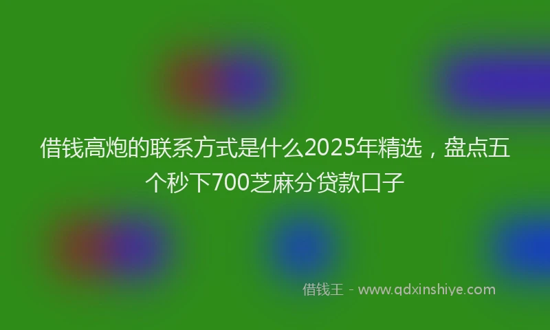 借钱高炮的联系方式是什么2025年精选，盘点五个秒下700芝麻分贷款口子