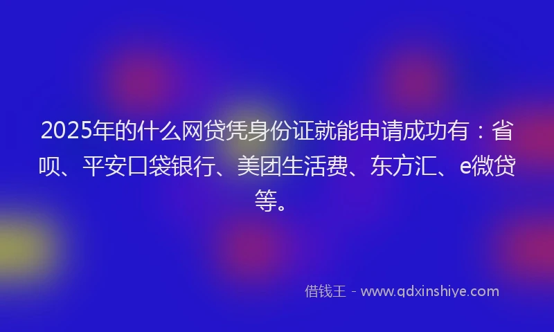 2025年的什么网贷凭身份证就能申请成功有：省呗、平安口袋银行、美团生活费、东方汇、e微贷等。