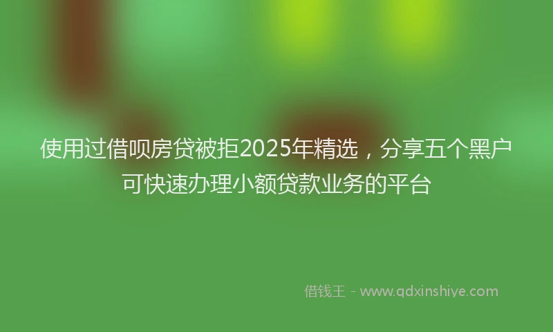 使用过借呗房贷被拒2025年精选，分享五个黑户可快速办理小额贷款业务的平台