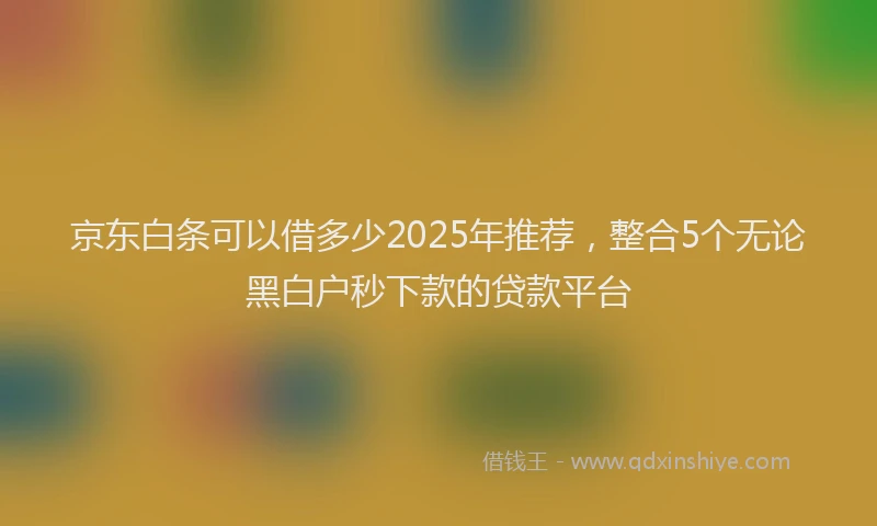 京东白条可以借多少2025年推荐，整合5个无论黑白户秒下款的贷款平台