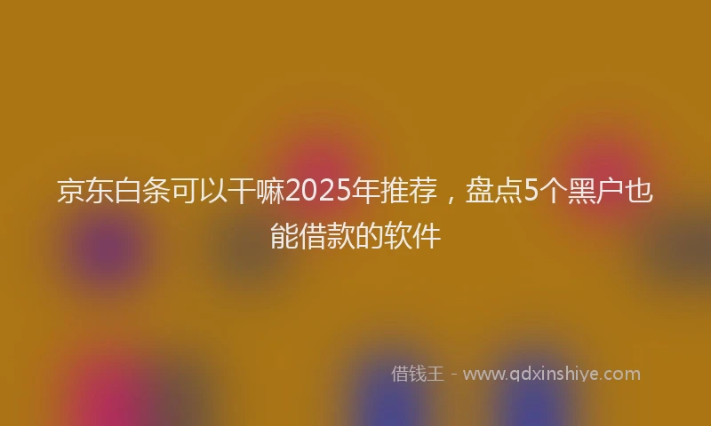 京东白条可以干嘛2025年推荐，盘点5个黑户也能借款的软件