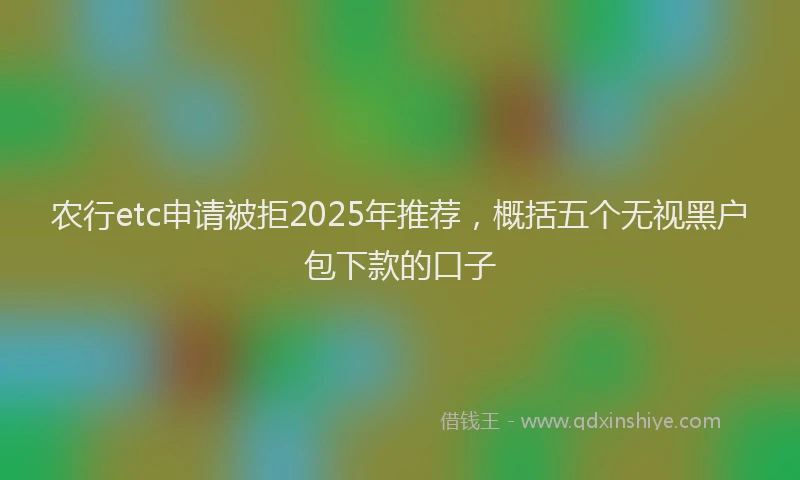 农行etc申请被拒2025年推荐，概括五个无视黑户包下款的口子