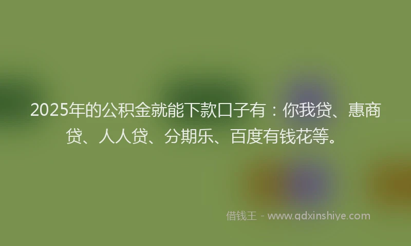 2025年的公积金就能下款口子有：你我贷、惠商贷、人人贷、分期乐、百度有钱花等。