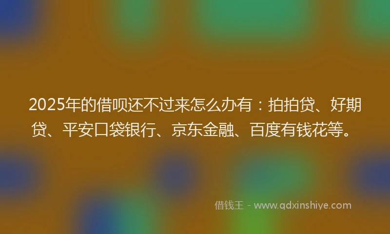 2025年的借呗还不过来怎么办有：拍拍贷、好期贷、平安口袋银行、京东金融、百度有钱花等。