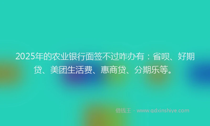 2025年的农业银行面签不过咋办有：省呗、好期贷、美团生活费、惠商贷、分期乐等。