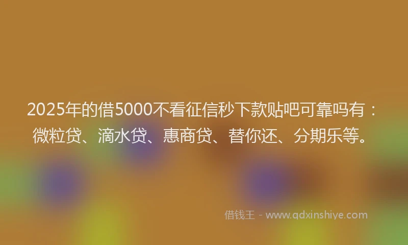 2025年的借5000不看征信秒下款贴吧可靠吗有：微粒贷、滴水贷、惠商贷、替你还、分期乐等。
