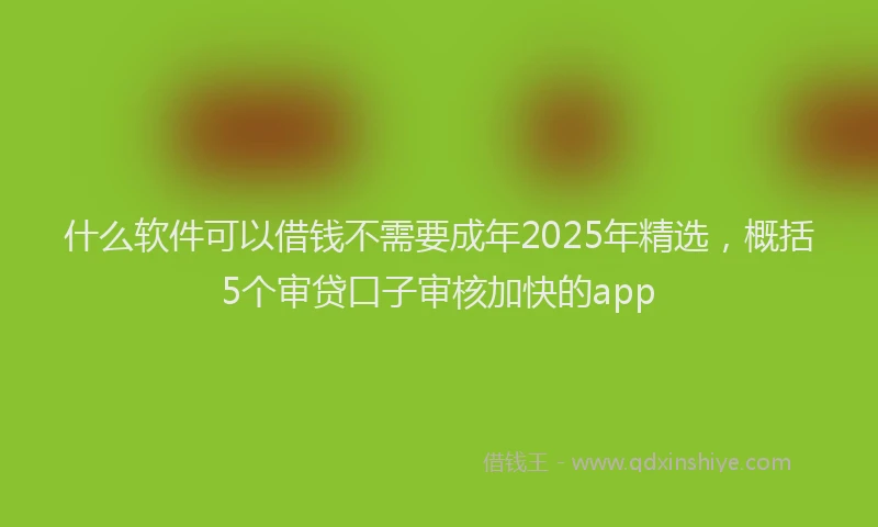 什么软件可以借钱不需要成年2025年精选，概括5个审贷口子审核加快的app
