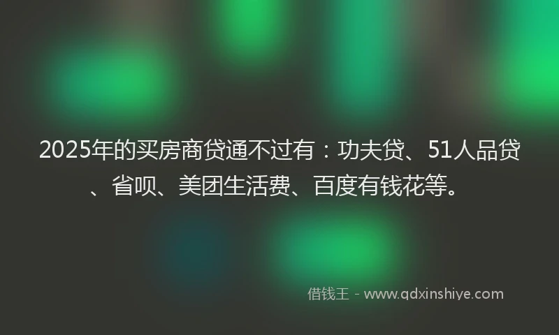 2025年的买房商贷通不过有：功夫贷、51人品贷、省呗、美团生活费、百度有钱花等。
