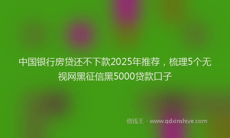 中国银行房贷还不下款2025年推荐，梳理5个无视网黑征信黑5000贷款口子