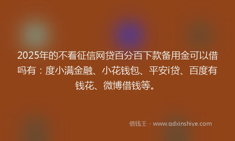 2025年的不看征信网贷百分百下款备用金可以借吗有：度小满金融、小花钱包、平安i贷、百度有钱花、微博借钱等。