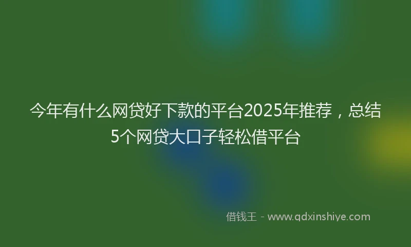 今年有什么网贷好下款的平台2025年推荐，总结5个网贷大口子轻松借平台