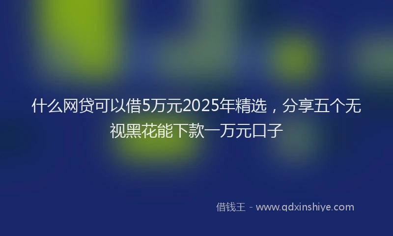 什么网贷可以借5万元2025年精选，分享五个无视黑花能下款一万元口子