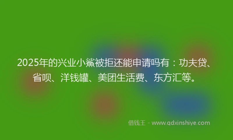 2025年的兴业小鯊被拒还能申请吗有：功夫贷、省呗、洋钱罐、美团生活费、东方汇等。