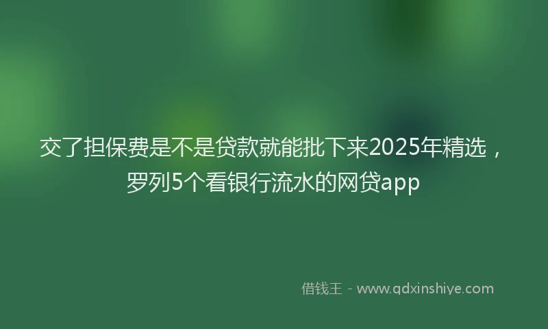 交了担保费是不是贷款就能批下来2025年精选，罗列5个看银行流水的网贷app