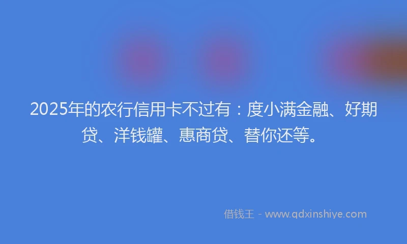 2025年的农行信用卡不过有：度小满金融、好期贷、洋钱罐、惠商贷、替你还等。