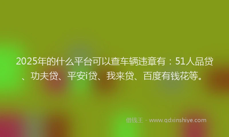 2025年的什么平台可以查车辆违章有：51人品贷、功夫贷、平安i贷、我来贷、百度有钱花等。