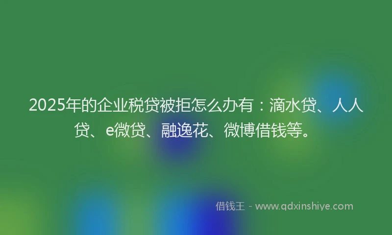 2025年的企业税贷被拒怎么办有：滴水贷、人人贷、e微贷、融逸花、微博借钱等。