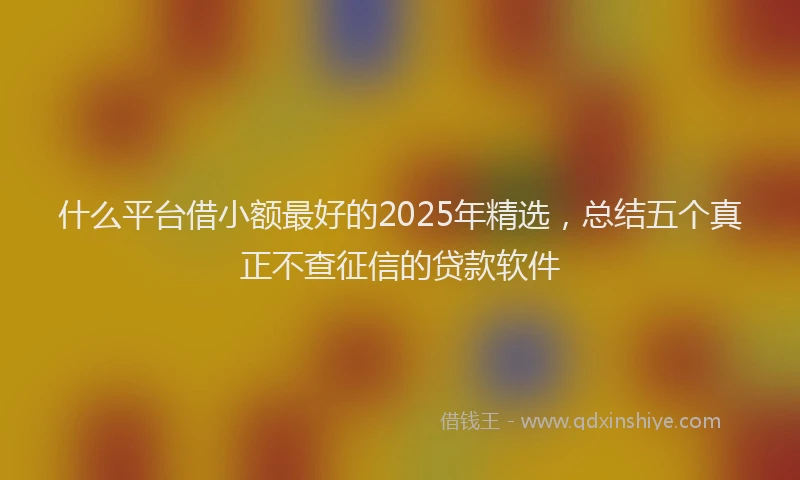 什么平台借小额最好的2025年精选，总结五个真正不查征信的贷款软件