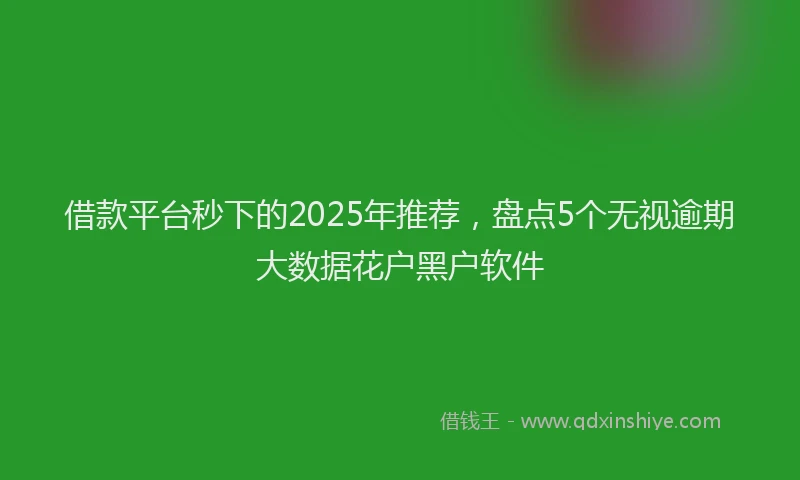 借款平台秒下的2025年推荐，盘点5个无视逾期大数据花户黑户软件