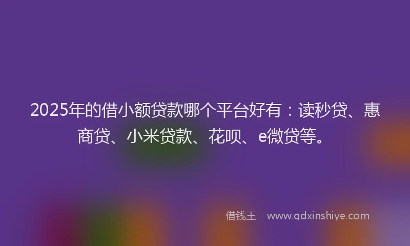 2025年的借小额贷款哪个平台好有：读秒贷、惠商贷、小米贷款、花呗、e微贷等。