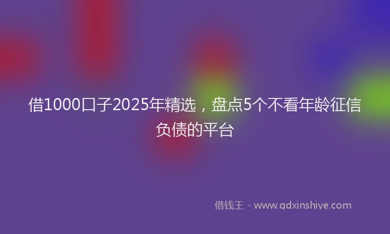 借1000口子2025年精选，盘点5个不看年龄征信负债的平台