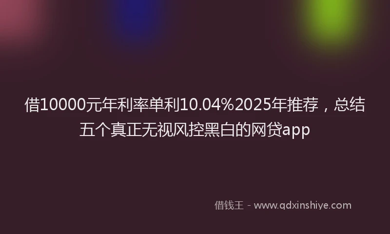 借10000元年利率单利10.04%2025年推荐，总结五个真正无视风控黑白的网贷app