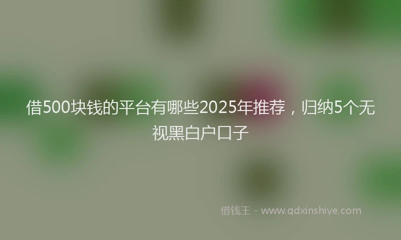 借500块钱的平台有哪些2025年推荐，归纳5个无视黑白户口子