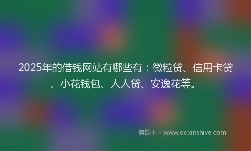 2025年的借钱网站有哪些有：微粒贷、信用卡贷、小花钱包、人人贷、安逸花等。