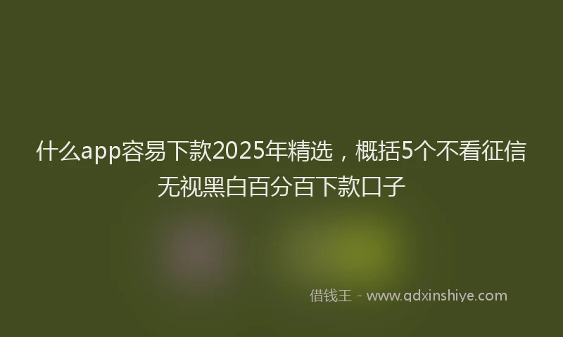 什么app容易下款2025年精选，概括5个不看征信无视黑白百分百下款口子