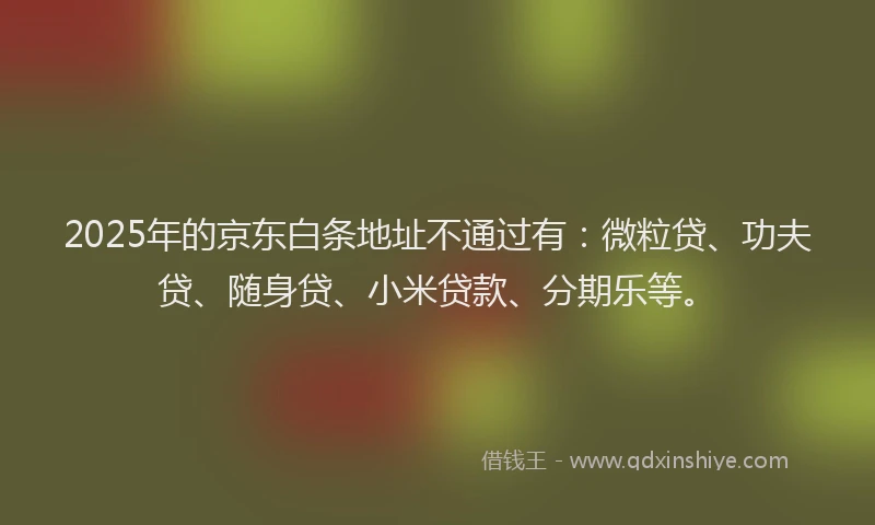 2025年的京东白条地址不通过有：微粒贷、功夫贷、随身贷、小米贷款、分期乐等。