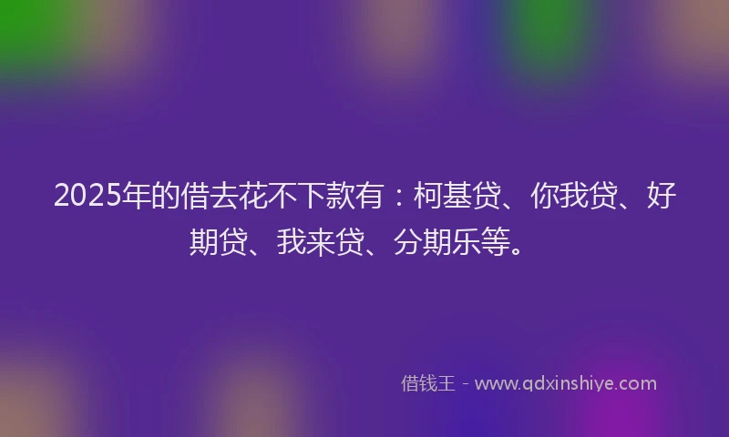 2025年的借去花不下款有：柯基贷、你我贷、好期贷、我来贷、分期乐等。