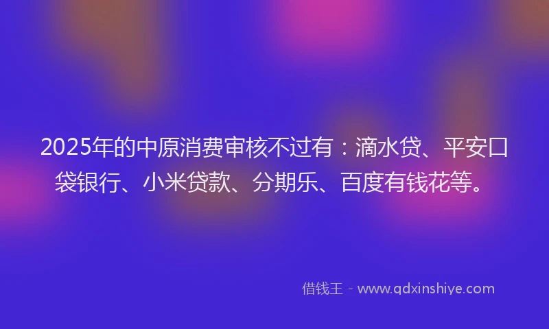2025年的中原消费审核不过有：滴水贷、平安口袋银行、小米贷款、分期乐、百度有钱花等。