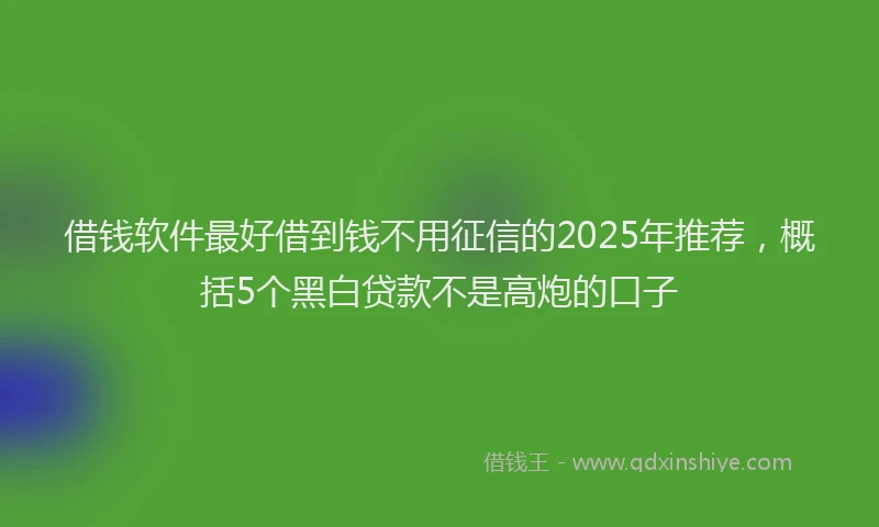 借钱软件最好借到钱不用征信的2025年推荐，概括5个黑白贷款不是高炮的口子