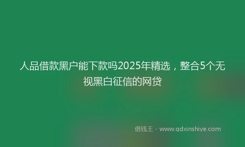 人品借款黑户能下款吗2025年精选，整合5个无视黑白征信的网贷