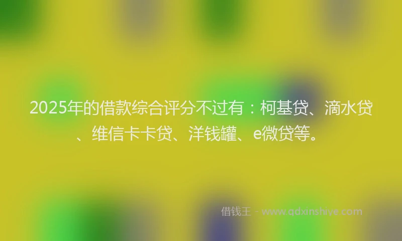 2025年的借款综合评分不过有：柯基贷、滴水贷、维信卡卡贷、洋钱罐、e微贷等。