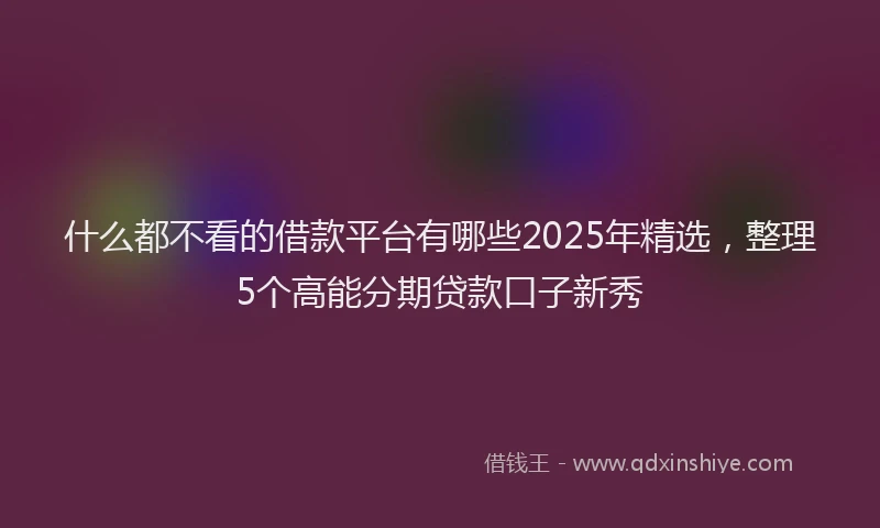 什么都不看的借款平台有哪些2025年精选，整理5个高能分期贷款口子新秀