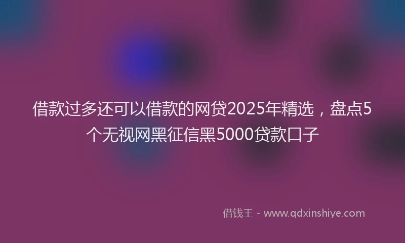 借款过多还可以借款的网贷2025年精选，盘点5个无视网黑征信黑5000贷款口子