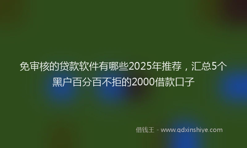 免审核的贷款软件有哪些2025年推荐，汇总5个黑户百分百不拒的2000借款口子