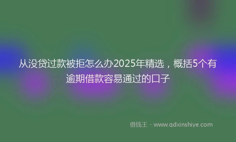 从没贷过款被拒怎么办2025年精选，概括5个有逾期借款容易通过的口子