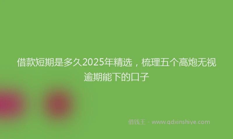借款短期是多久2025年精选，梳理五个高炮无视逾期能下的口子