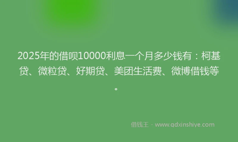2025年的借呗10000利息一个月多少钱有：柯基贷、微粒贷、好期贷、美团生活费、微博借钱等。